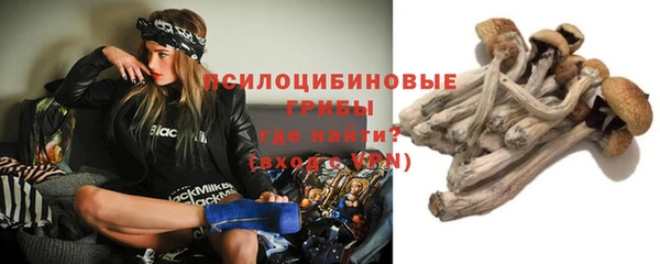 наркотики Новозыбков