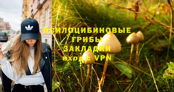 apvp Аркадак