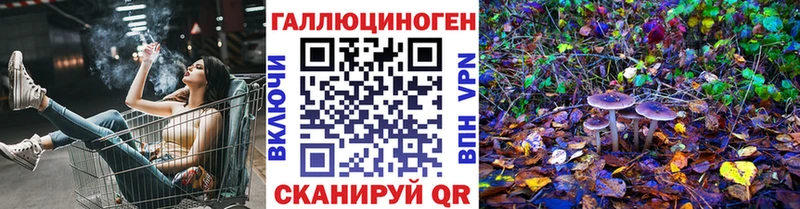 Псилоцибиновые грибы Psilocybine cubensis  Севск 